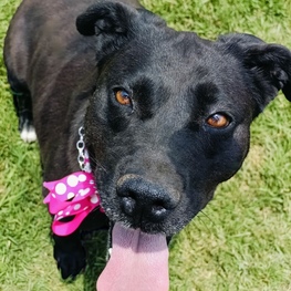 D 3026c6ba 63b7 4b37 8f26 f3fd78ee7dc5