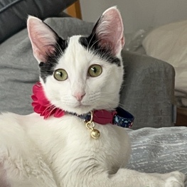 D e9336581 71d8 4f1a bbec ec0524445836