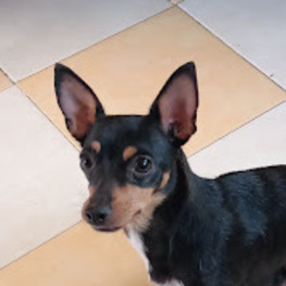 D ef2c612d 5544 47c0 8307 1d7dba204da4