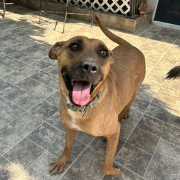 D 6044a9bc 7567 4db4 9148 f222df2c1b69