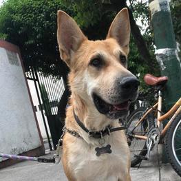 D b0705e88 71d6 4784 bc01 5b3e95ed5912