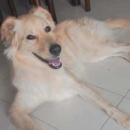 D 4b8911cf d3b3 4585 b943 dd60cd882166