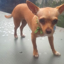 D 048f6d55 21d1 47fd b234 0b33cca0086b