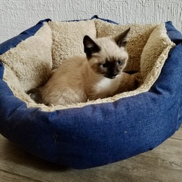 D 484983aa 51bb 4307 8bfa 407bb5204839