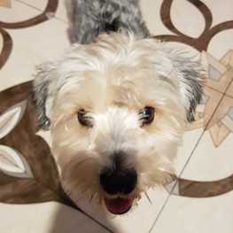 D 7c36a4b9 6622 4c24 b9f5 3d7ace45cf68