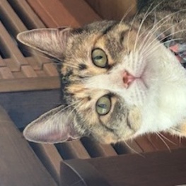 D 29b4f2e6 a573 4901 9125 bb26273bd874