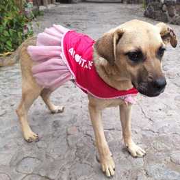 D b004c6e3 4bcb 42f0 a538 1ffa80457677