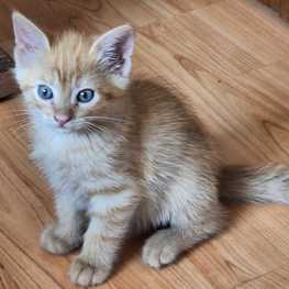 D 4c44997d 14cf 4c2a a9a9 677c0da037c7