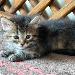 D c93de8f2 e1bf 457a 9e18 1b99e3d0945d