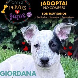 D 4ca4742b 6c3f 44a8 af8f 0a758c5ff8a6