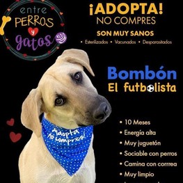 D 4d3c3a4b 2e6f 40eb be5e 44785c36bb88