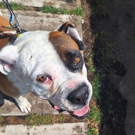 D 545263f2 7684 483d be7d 10d4e5626ecb