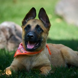 D bbd3cc27 c5de 4726 be02 4592a12b340a