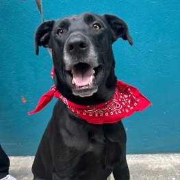 D be38cc2e e61d 45ce 8aeb 04fb2d690c95