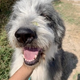 D 87f892b5 9306 4b7a 9439 d8e3e81e602d