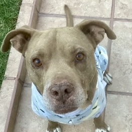 D d357d693 1c3a 47ea bebb 3d087207d538