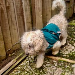 D fa5354e8 1c91 42a3 97f6 b48c11f42ec2