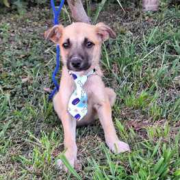 D 1bcbe98a 6837 4cc9 bf7d b9a42fef1ad6