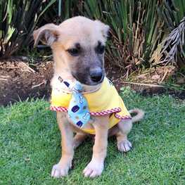 D 0b412e09 802e 409f 936c d96b1025adfc