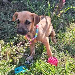 D e048243b 9d66 489b 8b11 8d527325a0d1