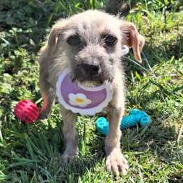 D 346fa314 982c 4c6d a5da 0b17e9bef429