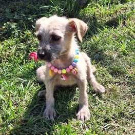 D 8e4d0fd4 304c 430b 8dd0 828e8d40ceb8