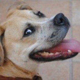 D 0b7011bd 1f15 4526 9bc4 d29cdfd963b7