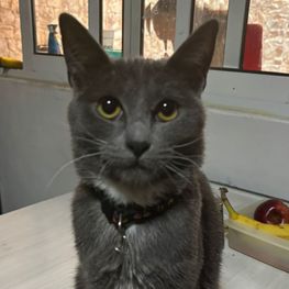 D 97cb3231 32ba 4691 b896 6721215b5f9a