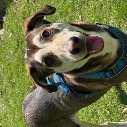 D cfde0873 79f2 4485 b07c c1e27f320bf8