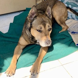 D 40a0d534 d370 4a82 bf8c e37f52547311