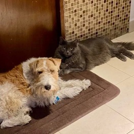 D 2cbd3b74 8868 4a01 9647 b5b72ac72dd4