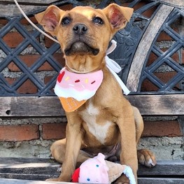 D a3fd14b0 3852 4dee b770 b54691f96c87