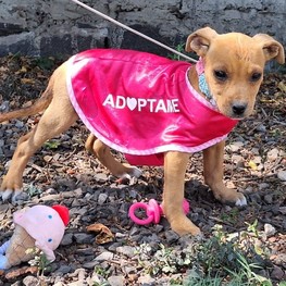 D 1ce7f3bf 4e4e 469a 927b c4029abed17d