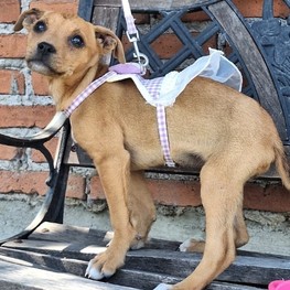 D e5243194 b93f 40cb 9940 3ed7c428b4d4