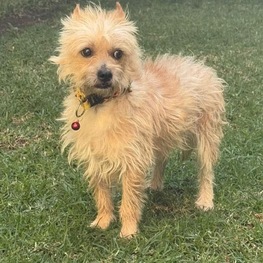 D efa686e1 a648 4b50 bc2e 22030b0887df