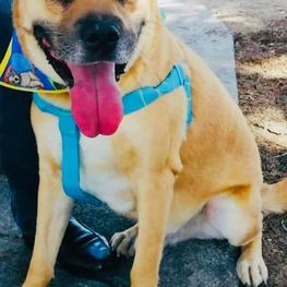 D aa82f795 1198 447b b50b b93ed58411c4