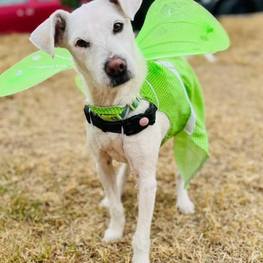 D b4cdf731 557b 4ff3 854f 7d2de4be82ec