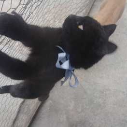 D 636476df 13e6 4dbf bb45 e1f022c73d07