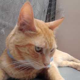 D bb68e1ea f561 465f a639 988b81fdf4b3