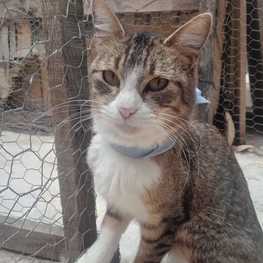 D a76896e1 ce43 4e4c 8ab1 d3e4828799f0