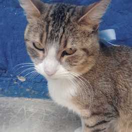 D 35432893 2787 4fab a5c4 6218511aa1e0