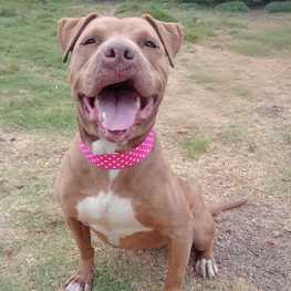 D f790b237 fc06 44bf a665 4da6ab04fb37