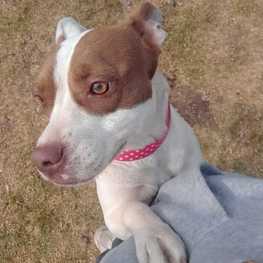 D 3c29f7f6 263d 4630 a3d5 efe0801c9d1c