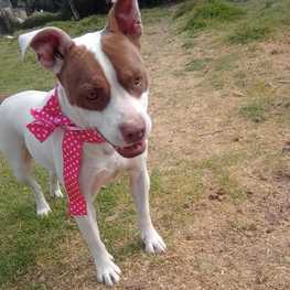 D 4880d7bb 2635 44a0 ac04 690c5b61b7bf