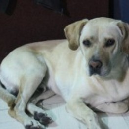 D 17178966 df86 4e64 aef6 f4c1d5e41fb0