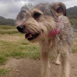 D 70531713 3486 46e7 9138 ae7818b160a9