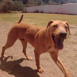 D 5ad44449 d3ab 4722 b5e2 f4ae23233435