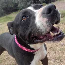 D 57e667f9 38c2 4cf1 8a89 4992a43f0b9a