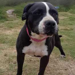 D 2ee73dcd 31bb 4a4b a881 4ce8373c467e