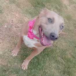 D 29eb824f 9e9b 45ac b7f9 1cd6b11ad45c